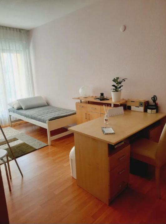 Camera Privata Con Balcone Gordola Εξωτερικό φωτογραφία